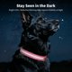 thumbnail image 5 of Collar para perros LIT&GO de 7 colores con luz y recargable USB‑C, 5 of 8