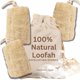 thumbnail image 1 of Loofah Sponge Crafts of Egypt, exfoliante natural, paquete de 3, 1 of 9