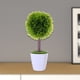 thumbnail image 4 of Planta Decorativa Artificial Moldeada Laurus, 4 of 4