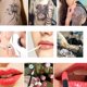thumbnail image 2 of Porta Paleta Desechable de Plástico para Pegamento de Tatuajes y Arte de Uñas 1000 unidades, 2 of 3