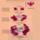thumbnail image 4 of 1pc Purple Bat Decoration Lights, Battery Operated For Bedroom Party Home Room Garden Hallowmas Decorations(Purple)Without Battery(1pc 59.06inch/4.92ft 10 Led Or 1pc 118.11inch/9.84ft 20 Led Or 1pc 17, 4 of 5
