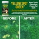 thumbnail image 4 of Gránulos Reparadores para Césped Nature's Pure Edge Yellow Spot Green, 4 of 7