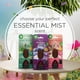 thumbnail image 5 of Air Wick Essential Mist de doble recarga, agave azul y bambú, 5 of 5