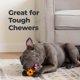 thumbnail image 5 of Juguete de Masticar para Perro Oxyfresh Control de Placa y Sarro, 5 of 9