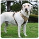thumbnail image 2 of Arnés Para Perro Ajustable Con Correa Reflectantes Kayla, 2 of 8