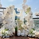 thumbnail image 5 of Globos De Látex Blanco 30 Cm 50 Unidades Para Decoración De Fiestas, 5 of 7