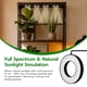 thumbnail image 3 of Luz LED de cultivo Mcbazel para techo para plantas de interior con temporizador, 3 of 9