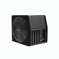 Subwoofer Activo Amplificado Pioneer Ts-Bw250Ma 1200W 10