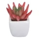 thumbnail image 2 of Set 2 Planta Artificial Decorativa Mini Suculenta Adorno Jhn, 2 of 3