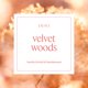 thumbnail image 2 of Recarga de fragancia AERA 25 ml Velvet Woods, 2 of 6