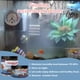 thumbnail image 5 of Alimento Para Cangrejo Ermitaño Buffet Blend 120 Ml Con Gusanos De La Harina, 5 of 7