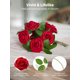 thumbnail image 3 of Rosas artificiales de espuma InnoGear, color rojo oscuro, 25 unidades, 3 of 7