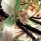 thumbnail image 3 of Body Mist Finery Pistachio Please 150 ml Unisex Spray, 3 of 3