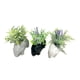 thumbnail image 1 of Macetero Elefante Con Planta 20 cm (Color surtido), 1 of 3