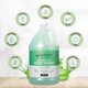 thumbnail image 5 of Gel de baño Ginger Lily Farms Club & Fitness Aloe Vera 3,8 L x 4, 5 of 8