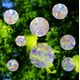 thumbnail image 1 of 16 pegatinas circulares para ventanas: anticolisión para proteger a las aves de colisiones, vinilo prismático no adhesivo, pegatinas de arcoíris., 1 of 7