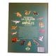 thumbnail image 4 of Libro Descubramos La Evolucion De Los Animales T/dura Lexus, 4 of 4
