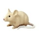 thumbnail image 3 of Modelo de Juguete de Ratón para Niños, Figura de Juguete de , Utilería de Broma, Figura de Animal de Simulación, Suministros para Fiesta de Guarde Estilo A, 3 of 5