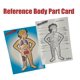 thumbnail image 4 of Juego de mesa educativo TaliCor Somebody de anatomía humana, 4 of 6