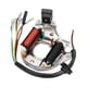 thumbnail image 1 of Estator magneto de 2 bobinas para kazuma quad atv kart bike lf100 dy100 h100 lx100, 1 of 3