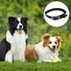 thumbnail image 3 of Collar de perro de lujo de nailon de doble grosor, 3 of 5