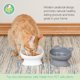 thumbnail image 2 of Cat Bowls Kitty City, orejas de gato levantadas, paquete de 2 unidades, 200 ml (modernas), 2 of 5
