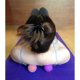 thumbnail image 3 of Kieba Massage Lacrosse Balls for Myofascial Release, Trigger, 3 of 3