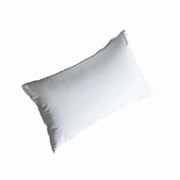 Genérico - Pack De 2 Fundas Terciopelo Liso 30X50 Cm Blanco