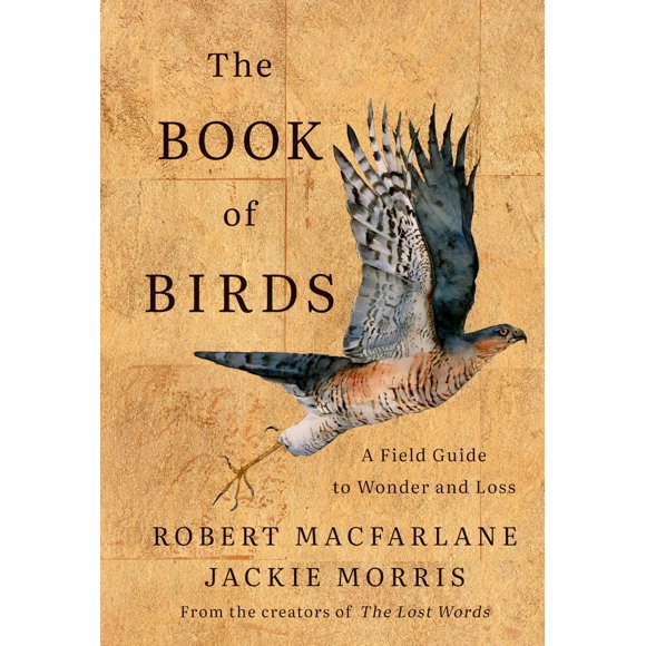 Libro W. W. Norton El Libro de las Aves Guía de Campo