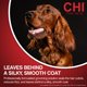 thumbnail image 3 of Champú hidratante para perros CHI For Dogs Deep Moisture, 3 of 6
