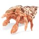 thumbnail image 1 of Marioneta de mano Folkmanis Hermit Crab naranja/crema/marrón, 1 of 3