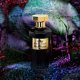 thumbnail image 3 of Perfume Amouroud Dark Orchid Eau de Parfum para mujer, 100 ml, 3 of 3