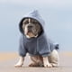 thumbnail image 3 of Sudadera con Capucha para Perro Spark Paws – Suave como Mantequilla, 3 of 5