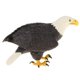 thumbnail image 3 of Pájaro de plástico modelo estatuilla figura de acción para ni?os juguete regalo ornamento águila calva, 3 of 5