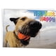 thumbnail image 4 of Tarjeta de cumpleaños Glory To Dog 13 cm x 18 cm, 4 of 7