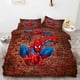 thumbnail image 1 of Spider-Man Sprawled The Ground Quilt Duvet Cover Set Pillow case Print3-Piece Bedding Set (1 Duvet Cover + 2 Pillow Shams), 1 of 3