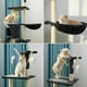 thumbnail image 2 of Rascador Con Hamaca Para Gatos Modelo Hermoso, 2 of 3