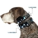 thumbnail image 2 of Collar para Perro Buckle-Down PC-W30523-WL Ancho Grande 46-81 cm, 2 of 8