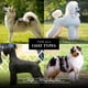 thumbnail image 4 of Colonia para mascotas Grooming Pet Cologne Chris Christensen Signature Scents, 4 of 5