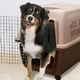 thumbnail image 3 of Kennel Transportador 59xx47x83cm Viaje Paseo Mascota Lau, 3 of 3