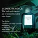 thumbnail image 4 of Set de eau de parfum y bruma corporal Jungle Santal de Perfume Fine'ry, 4 of 7