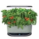 thumbnail image 3 of Kit de cápsulas para semillas AeroGarden Salsa Garden de 9 cápsulas con nutrientes, 3 of 4