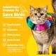 thumbnail image 3 of Cubierta para Collar de Gato Birdsbesafe – Diseño de Advertencia para Aves, 3 of 9