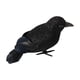 thumbnail image 5 of Cuervos Negros Falsos Artificiales, Decoración De Cuervos Emplumados Para Balcón, Patio, Césped, Estilo A, 5 of 5
