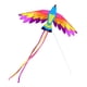 thumbnail image 3 of Vivid Phoenix Kite Con Herramientas Voladoras Para Ni?os Juegos Al Aire Libre Viajes Familiares A, 3 of 5