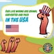 thumbnail image 5 of Lombrices para compostaje Uncle Jim's Worm Farm Red Wiggler, 250 unidades, 5 of 7