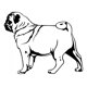 thumbnail image 1 of Decomural Pug Dog Canine Pets WS-34715, 1 of 2