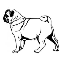 Rienda Libre Graphics - Decomural Pug Dog Canine Pets Ws-34715