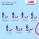 thumbnail image 2 of Correa de entrenamiento The Company of Animals HALTI Multifunctional, 2 of 5