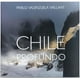 thumbnail image 1 of Chile Profundo, 1 of 2